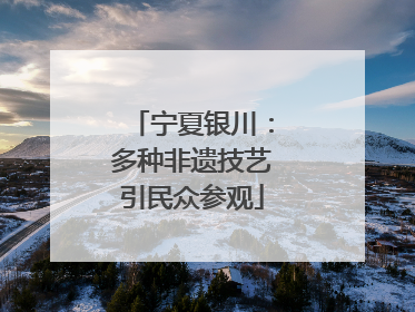 宁夏银川：多种非遗技艺引民众参观