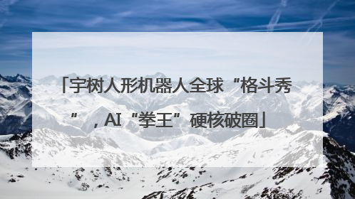 宇树人形机器人全球“格斗秀”，AI“拳王”硬核破圈