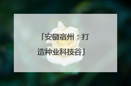安徽宿州：打造种业科技谷