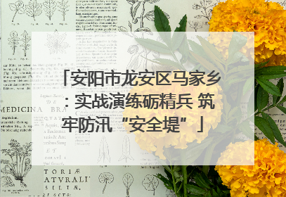安阳市龙安区马家乡：实战演练砺精兵 筑牢防汛“安全堤”
