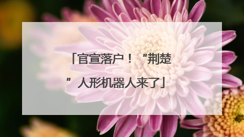 官宣落户！“荆楚”人形机器人来了