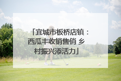 宜城市板桥店镇：西瓜丰收销售俏 乡村振兴添活力