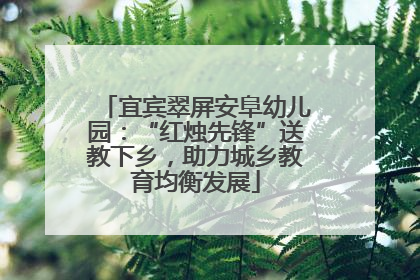 宜宾翠屏安阜幼儿园：“红烛先锋”送教下乡，助力城乡教育均衡发展