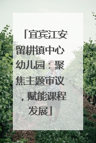 宜宾江安留耕镇中心幼儿园：聚焦主题审议，赋能课程发展