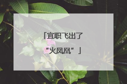 宜职飞出了“火凤凰”