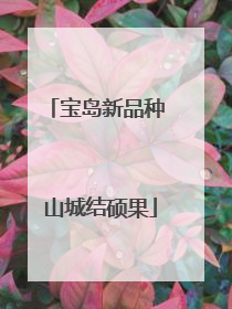 宝岛新品种 山城结硕果