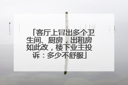 客厅上冒出多个卫生间、厨房，出租房如此改，楼下业主投诉：多少不舒服