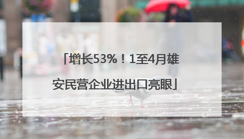增长53%！1至4月雄安民营企业进出口亮眼