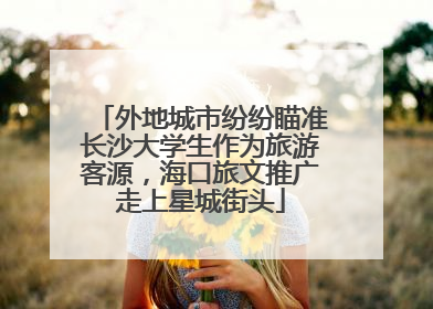 外地城市纷纷瞄准长沙大学生作为旅游客源，海口旅文推广走上星城街头