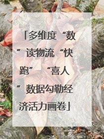 多维度“数”读物流“快跑” “喜人”数据勾勒经济活力画卷