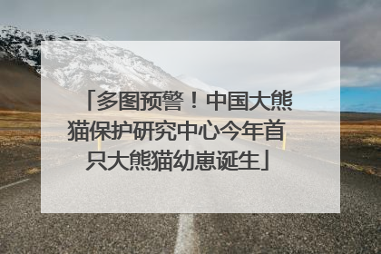 多图预警！中国大熊猫保护研究中心今年首只大熊猫幼崽诞生