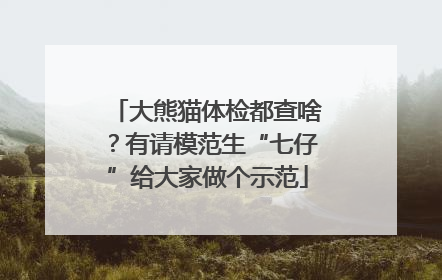 大熊猫体检都查啥？有请模范生“七仔”给大家做个示范