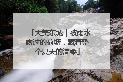 大美东城｜被雨水吻过的荷塘，藏着整个夏天的温柔