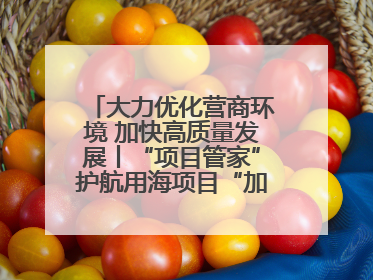 大力优化营商环境 加快高质量发展丨“项目管家”护航用海项目“加速跑”