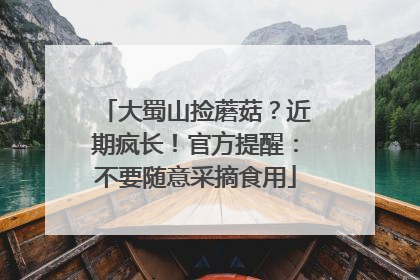 大蜀山捡蘑菇？近期疯长！官方提醒：不要随意采摘食用