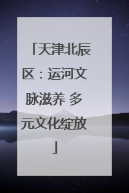 天津北辰区：运河文脉滋养 多元文化绽放