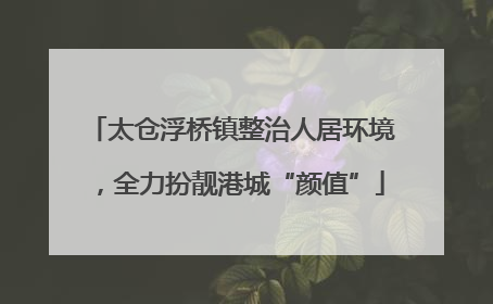 太仓浮桥镇整治人居环境，全力扮靓港城“颜值”