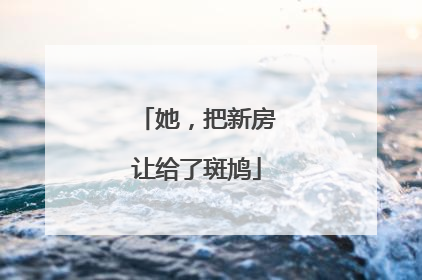 她，把新房让给了斑鸠