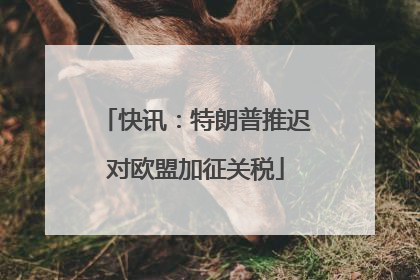 快讯：特朗普推迟对欧盟加征关税