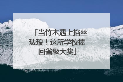 当竹木遇上掐丝珐琅！这所学校捧回省级大奖