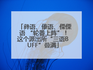 彝语、傣语、傈僳语 “轮番上阵”！这个派出所“三语BUFF”叠满