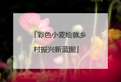 彩色小麦绘就乡村振兴新蓝图