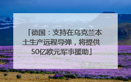 德国：支持在乌克兰本土生产远程导弹，将提供50亿欧元军事援助