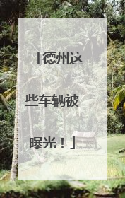 德州这些车辆被曝光！