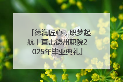 德润匠心，职梦起航丨直击德州职院2025年毕业典礼