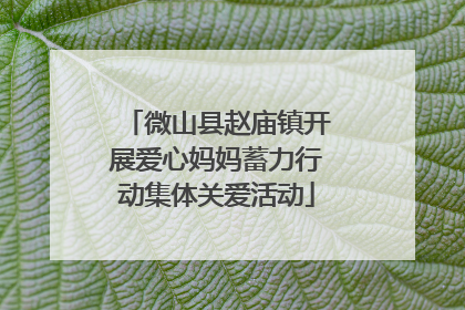 微山县赵庙镇开展爱心妈妈蓄力行动集体关爱活动