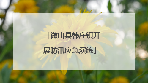 微山县韩庄镇开展防汛应急演练