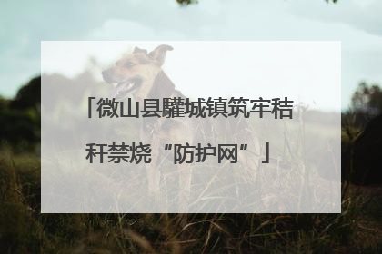 微山县驩城镇筑牢秸秆禁烧“防护网”