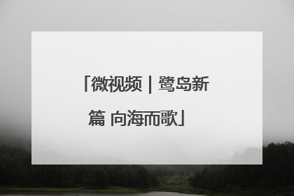微视频｜鹭岛新篇 向海而歌