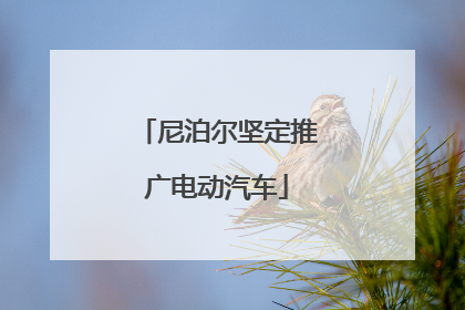 尼泊尔坚定推广电动汽车