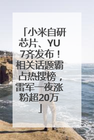 小米自研芯片、YU7齐发布！相关话题霸占热搜榜，雷军一夜涨粉超20万