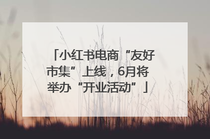 小红书电商“友好市集”上线，6月将举办“开业活动”