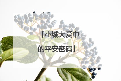 小城大爱中的平安密码