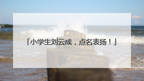 小学生刘云成，点名表扬！