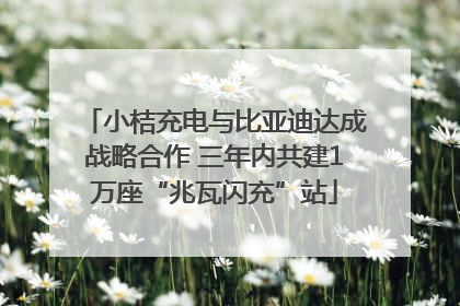 小桔充电与比亚迪达成战略合作 三年内共建1万座“兆瓦闪充”站