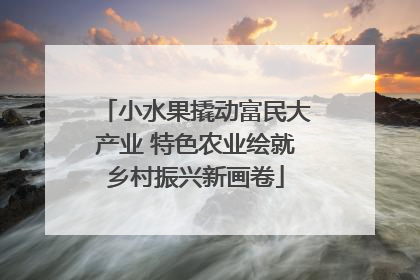 小水果撬动富民大产业 特色农业绘就乡村振兴新画卷