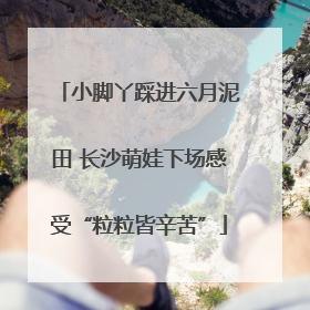 小脚丫踩进六月泥田 长沙萌娃下场感受“粒粒皆辛苦”
