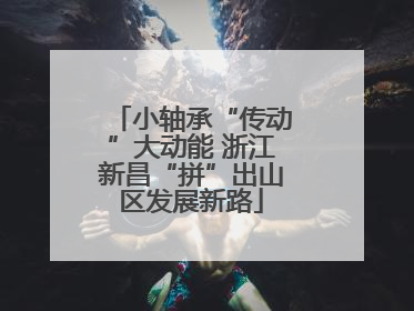 小轴承“传动”大动能 浙江新昌“拼”出山区发展新路