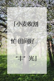 小麦收割忙 田间好“丰”光