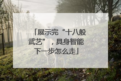 展示完“十八般武艺”，具身智能下一步怎么走