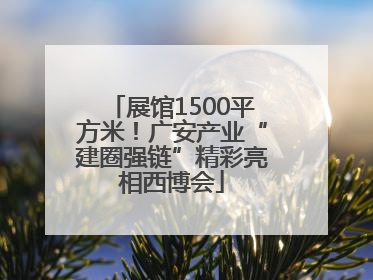 展馆1500平方米！广安产业“建圈强链”精彩亮相西博会