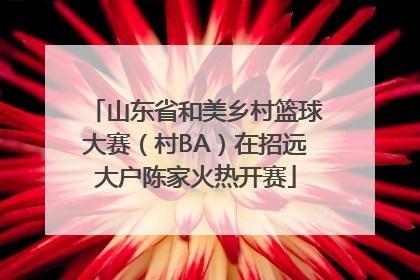 山东省和美乡村篮球大赛（村BA）在招远大户陈家火热开赛