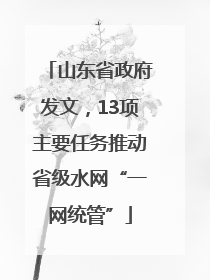 山东省政府发文，13项主要任务推动省级水网“一网统管”