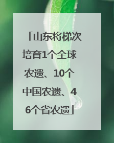 山东将梯次培育1个全球农遗、10个中国农遗、46个省农遗
