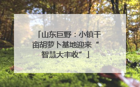 山东巨野：小镇千亩胡萝卜基地迎来“智慧大丰收”