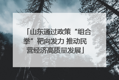 山东通过政策“组合拳”靶向发力 推动民营经济高质量发展
